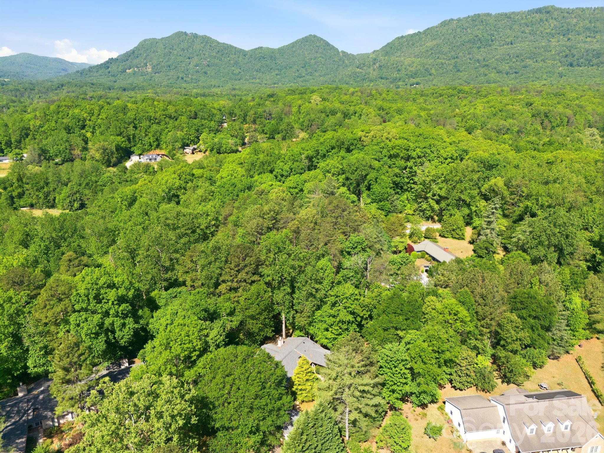 91 Diamond Ridge Lane Columbus, NC 28722 - Photo 44 of 48