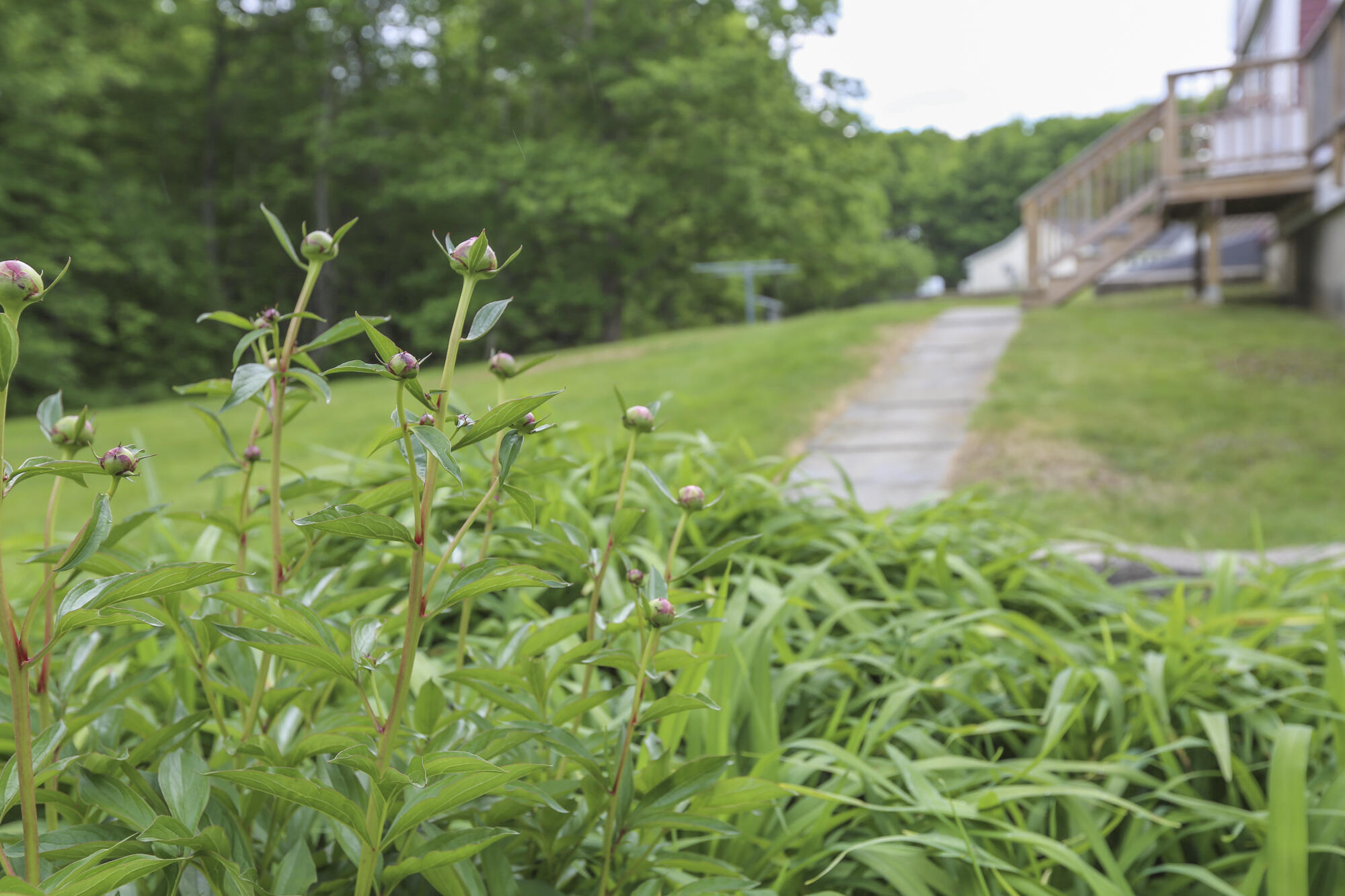 389 Waldo Station Road Belfast, ME 04915 - Photo 45 of 46 389 Waldo Station Road