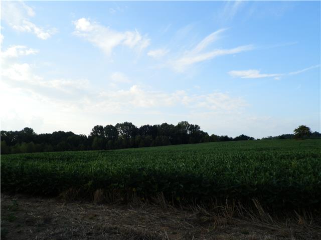 0 Old Clks-spgfld Road Adams, TN 37010 - Photo 1 of 4