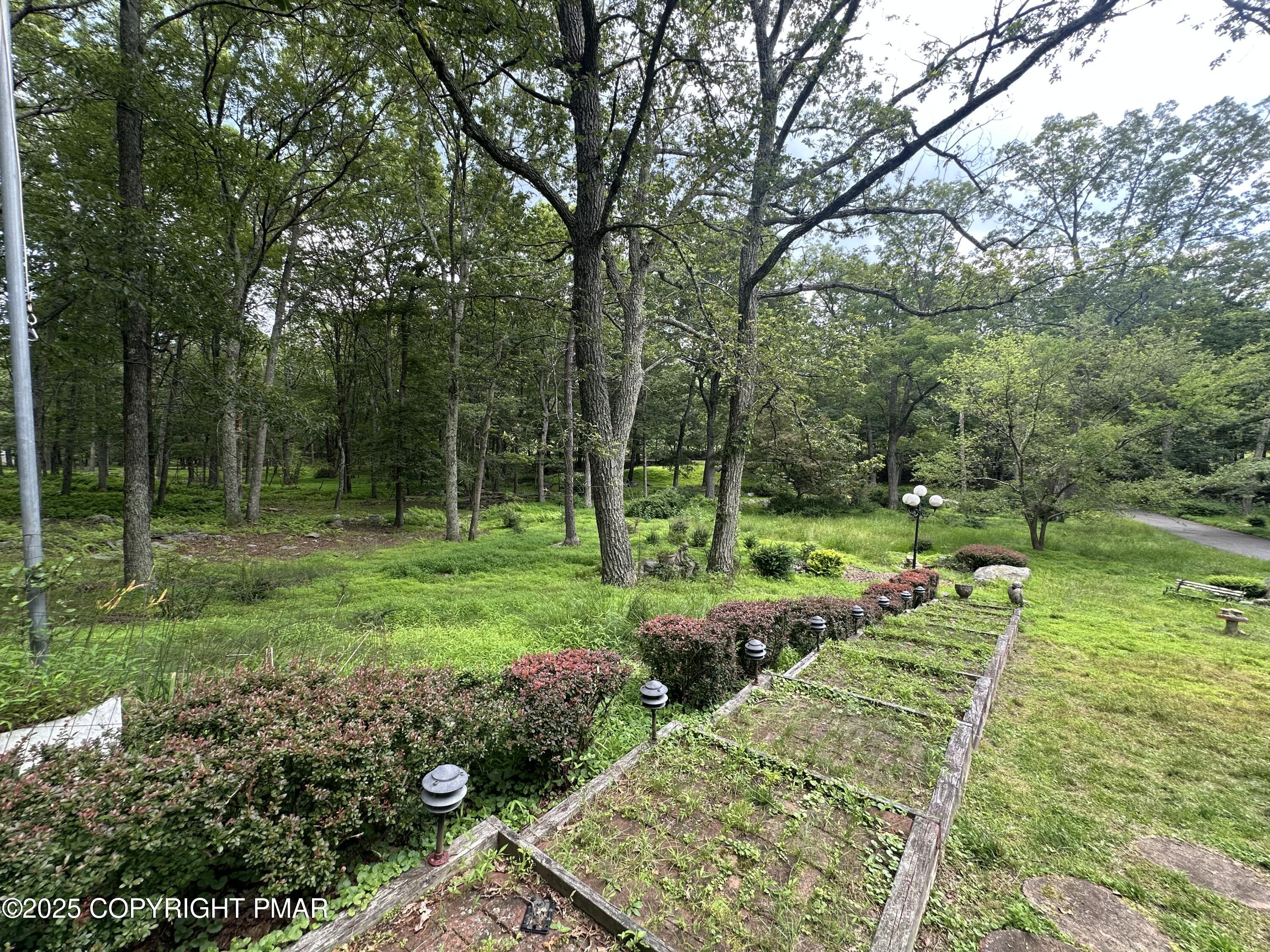 2162 Longview Drive Bushkill, PA 18324 - Photo 31 of 33 a view of backyard with green space