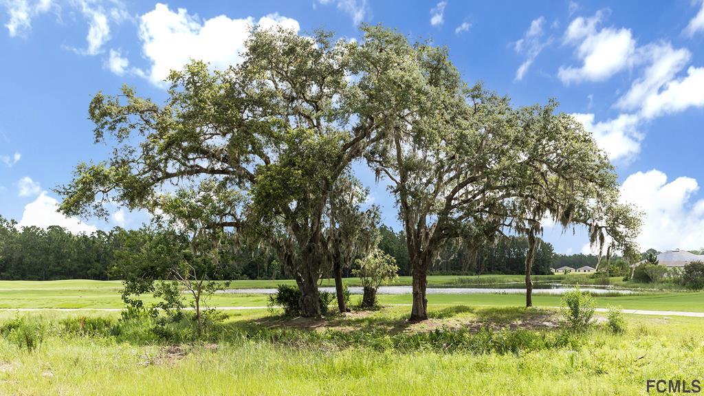 35 Birdie Way Bunnell, FL 32110 - Photo 36 of 36