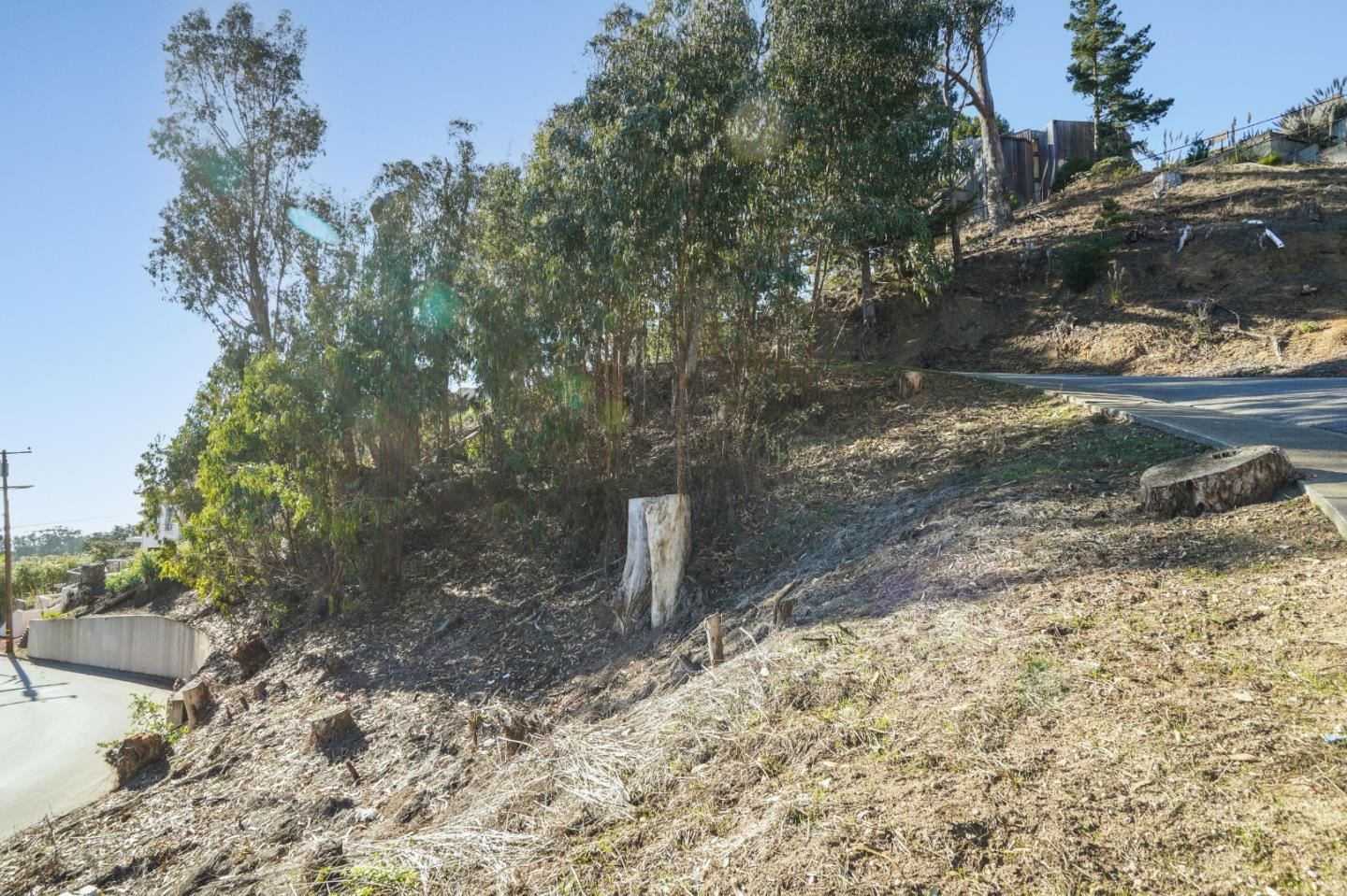 148 San Pedro Road Half Moon Bay, CA 94019 - Photo 4 of 5 a view of a yard with plants and trees