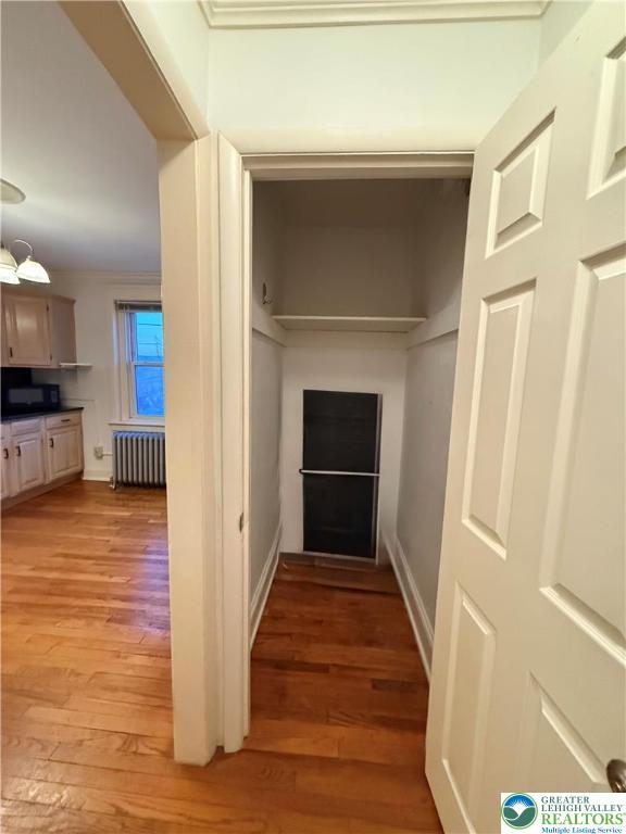 729 Spring Street, Unit 2 Bethlehem, PA 18018 - Photo 10 of 32 Extra Closet space