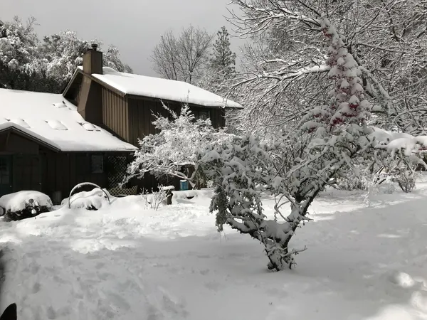 a view of a terrace with a tree