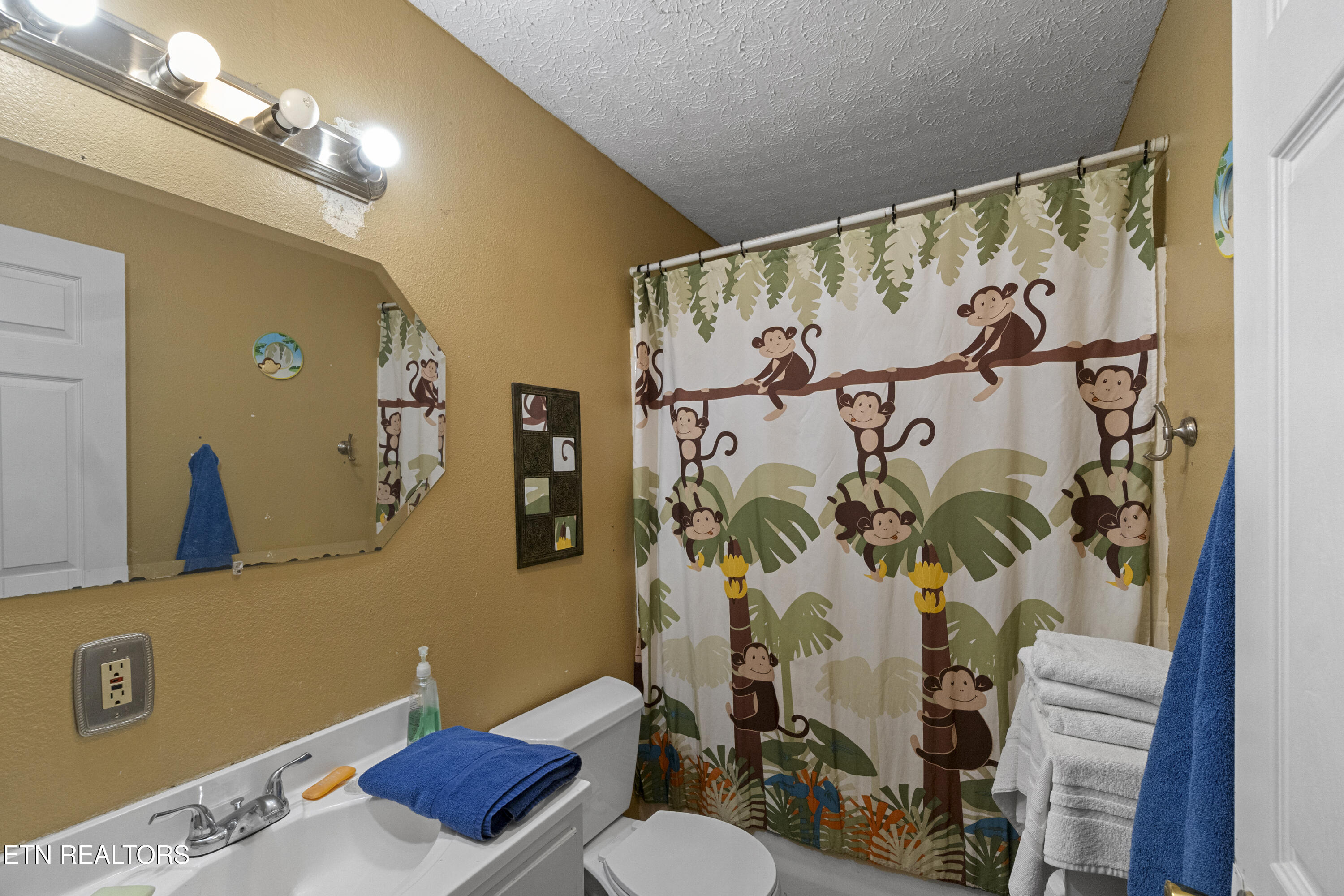 184 Alpha Road Newport, TN 37821 - Photo 33 of 47 DSC02589