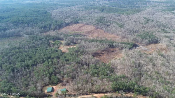 $1,156,000 | Bagasha Road, Vaiden, MS 39176