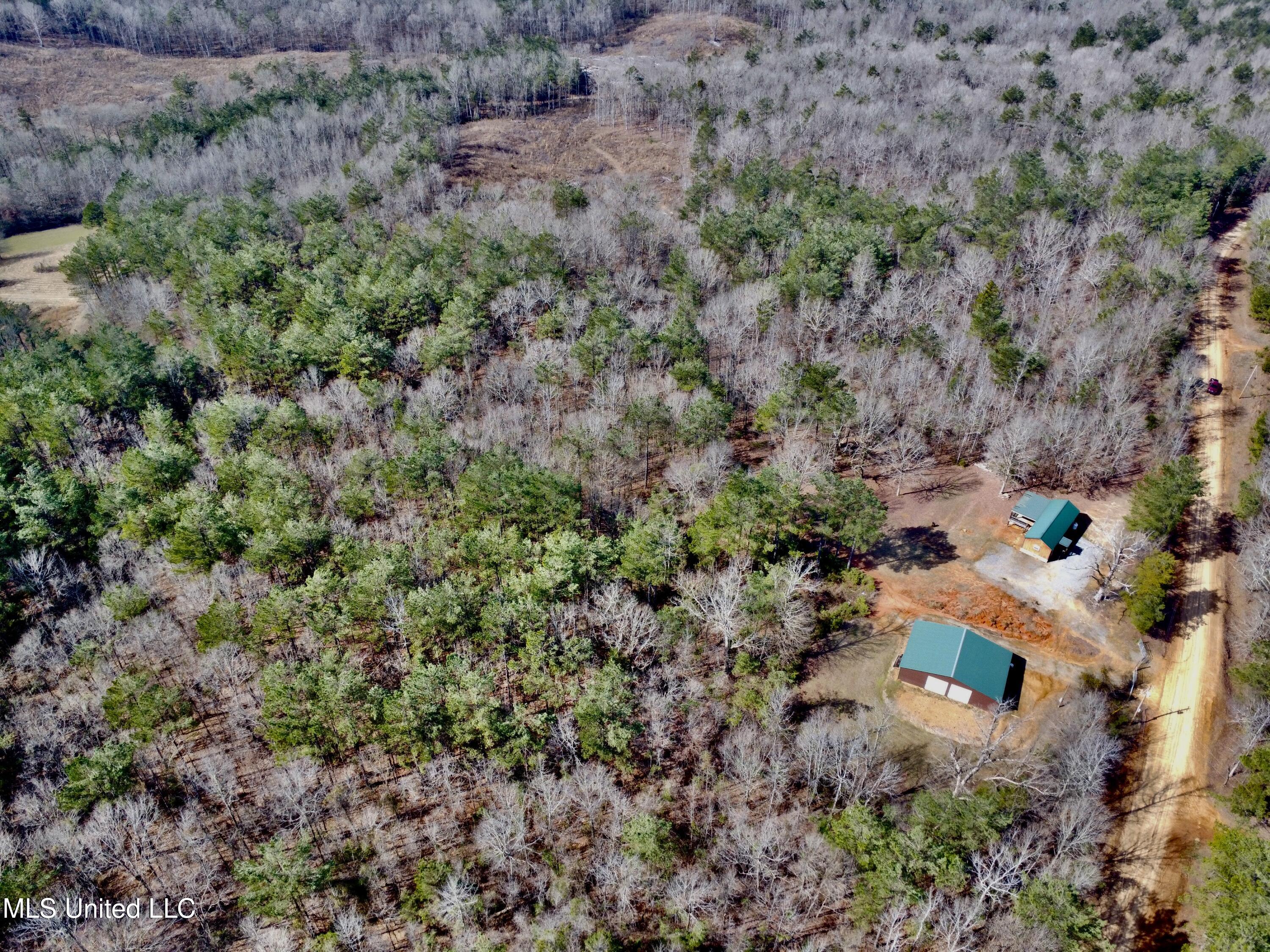 Bagasha Road Vaiden, MS 39176 - Photo 13 of 61 IMG_5071