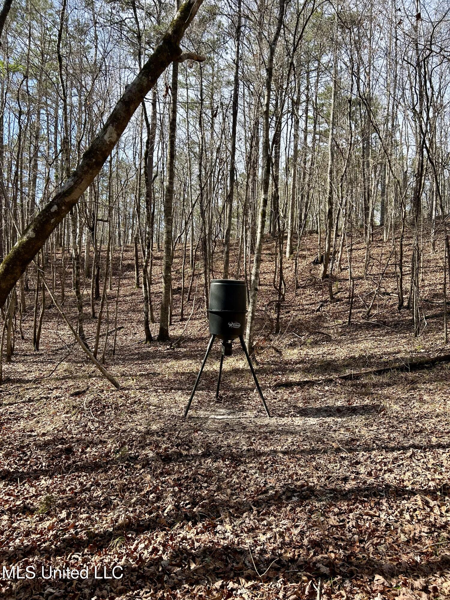 Bagasha Road Vaiden, MS 39176 - Photo 14 of 61 IMG_5032