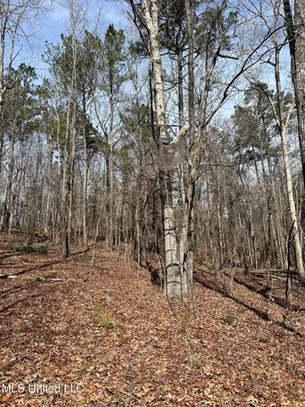 $1,156,000 | Bagasha Road, Vaiden, MS 39176