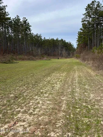 $1,156,000 | Bagasha Road, Vaiden, MS 39176