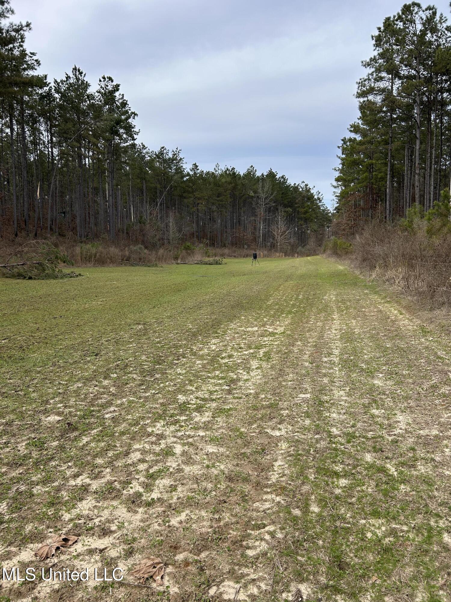 Bagasha Road Vaiden, MS 39176 - Photo 16 of 61 IMG_5042
