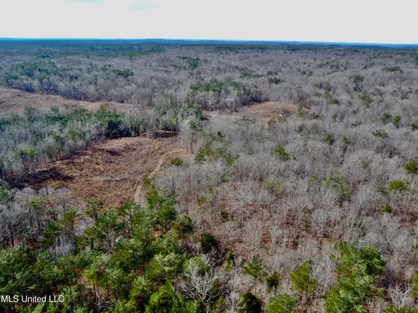 $1,156,000 | Bagasha Road, Vaiden, MS 39176