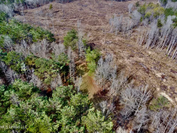 $1,156,000 | Bagasha Road, Vaiden, MS 39176