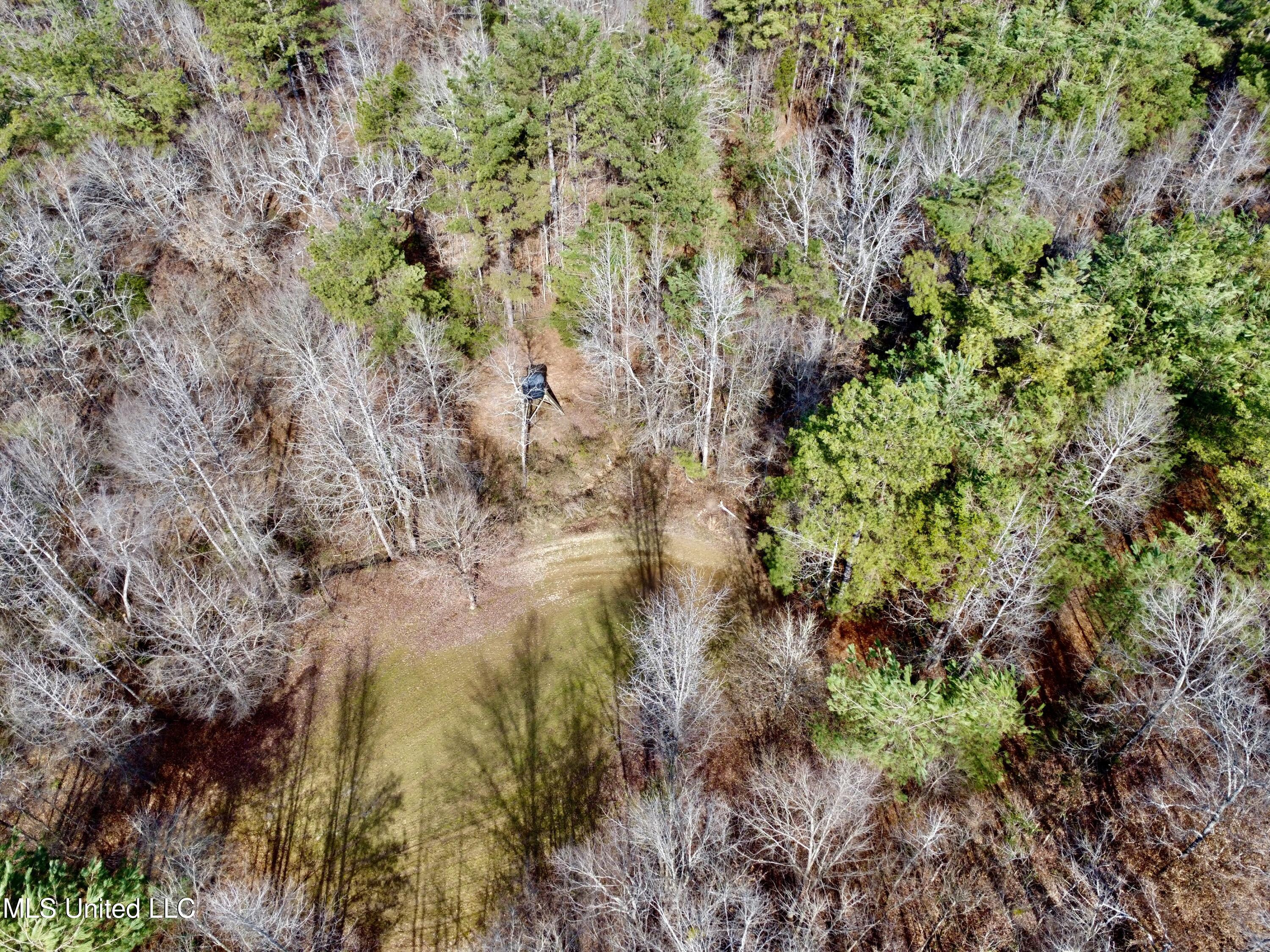 Bagasha Road Vaiden, MS 39176 - Photo 20 of 61 IMG_5055