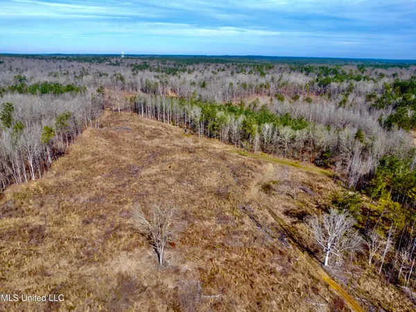 $1,156,000 | Bagasha Road, Vaiden, MS 39176