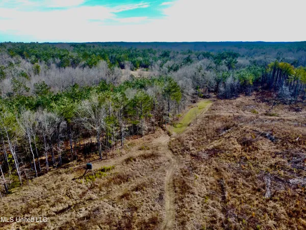 $1,156,000 | Bagasha Road, Vaiden, MS 39176
