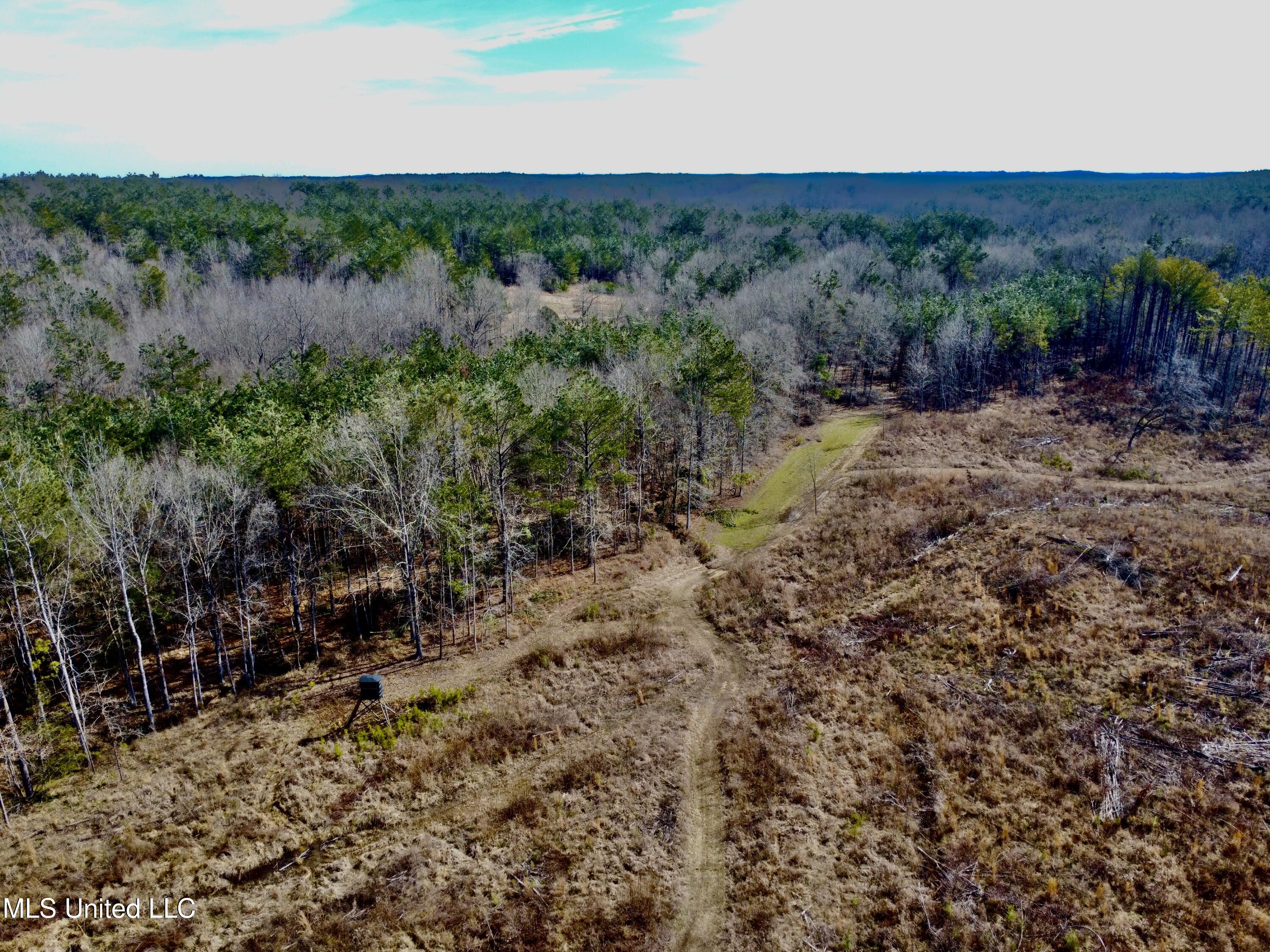 Bagasha Road Vaiden, MS 39176 - Photo 22 of 61 IMG_5057