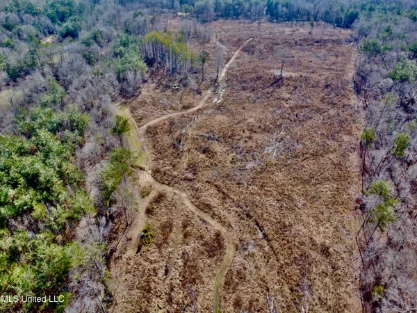 $1,156,000 | Bagasha Road, Vaiden, MS 39176