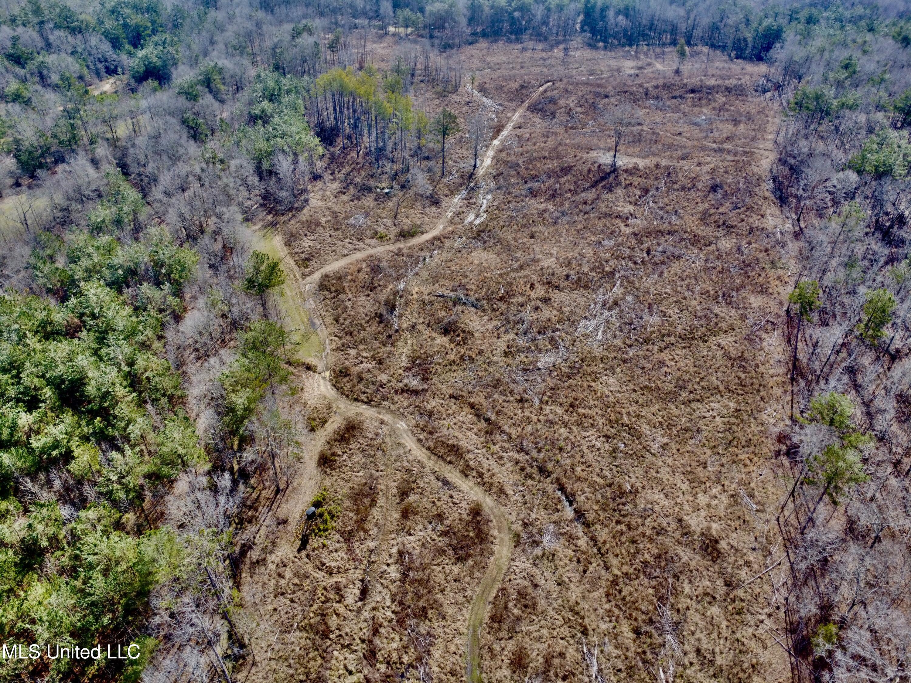 Bagasha Road Vaiden, MS 39176 - Photo 23 of 61 IMG_5058