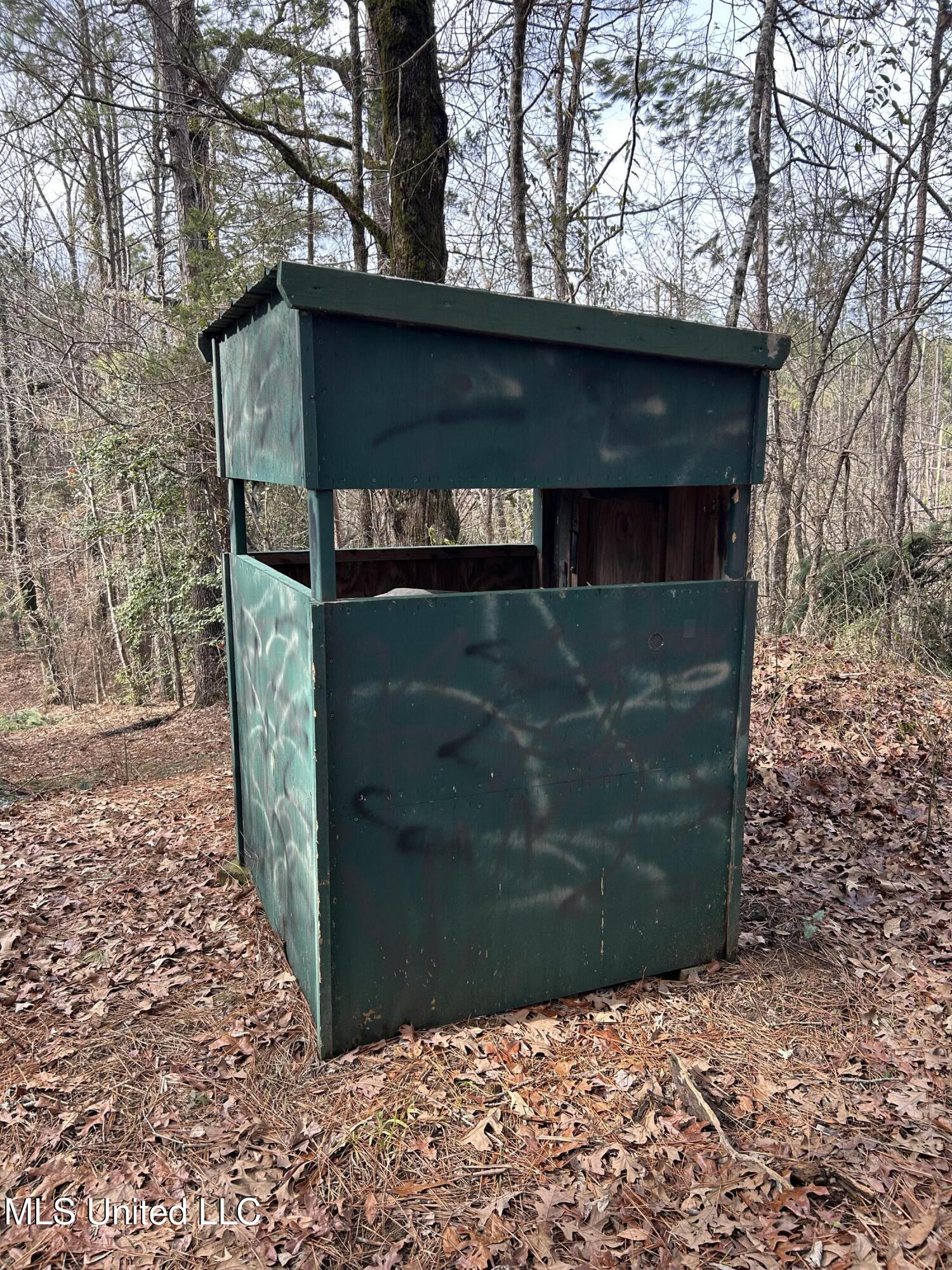 Bagasha Road Vaiden, MS 39176 - Photo 24 of 61 IMG_5038