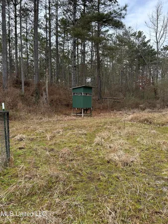 $1,156,000 | Bagasha Road, Vaiden, MS 39176