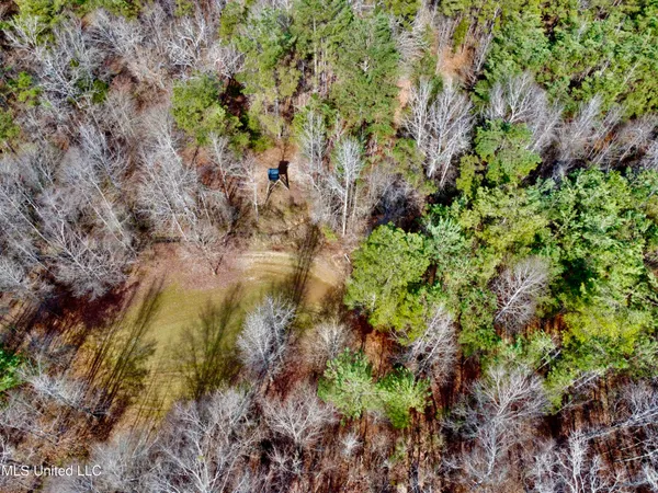 $1,156,000 | Bagasha Road, Vaiden, MS 39176