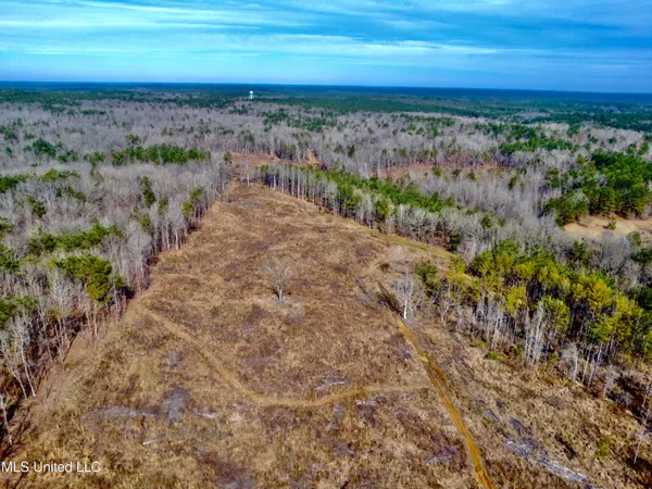 $1,156,000 | Bagasha Road, Vaiden, MS 39176