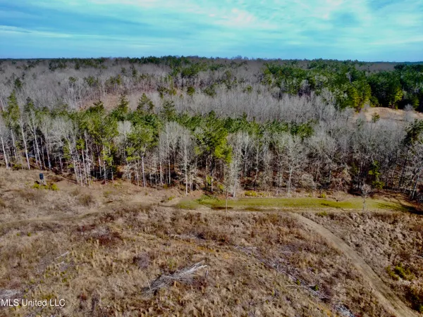 $1,156,000 | Bagasha Road, Vaiden, MS 39176
