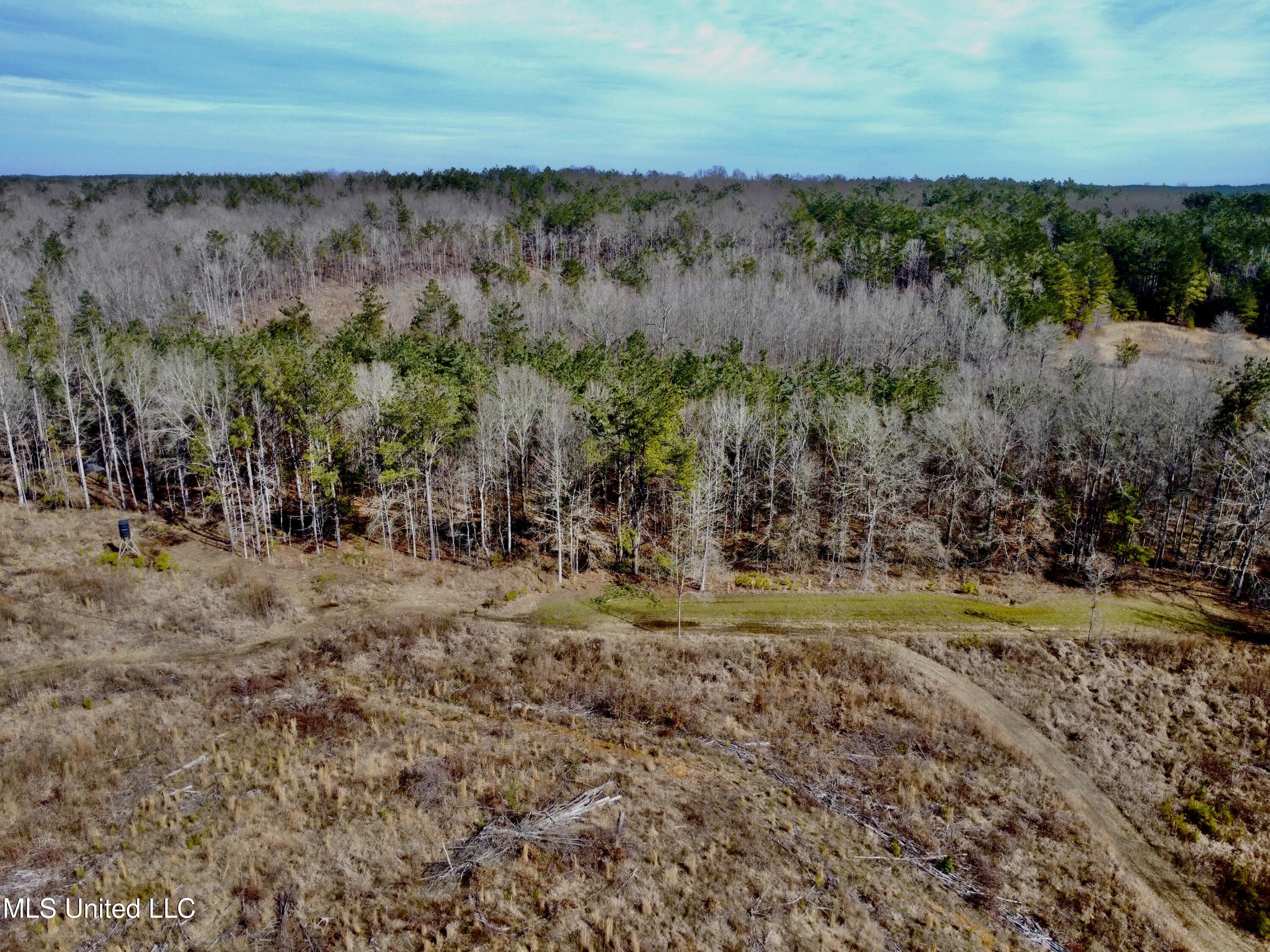 Bagasha Road Vaiden, MS 39176 - Photo 29 of 61 IMG_5066