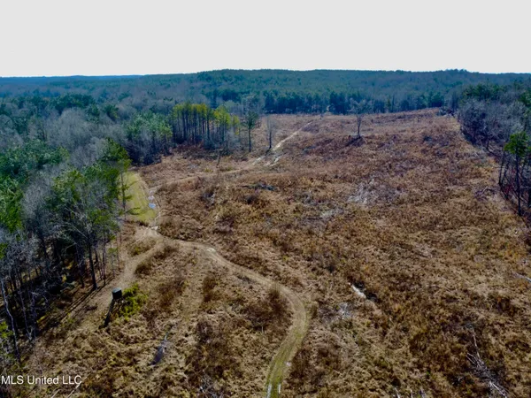 $1,156,000 | Bagasha Road, Vaiden, MS 39176