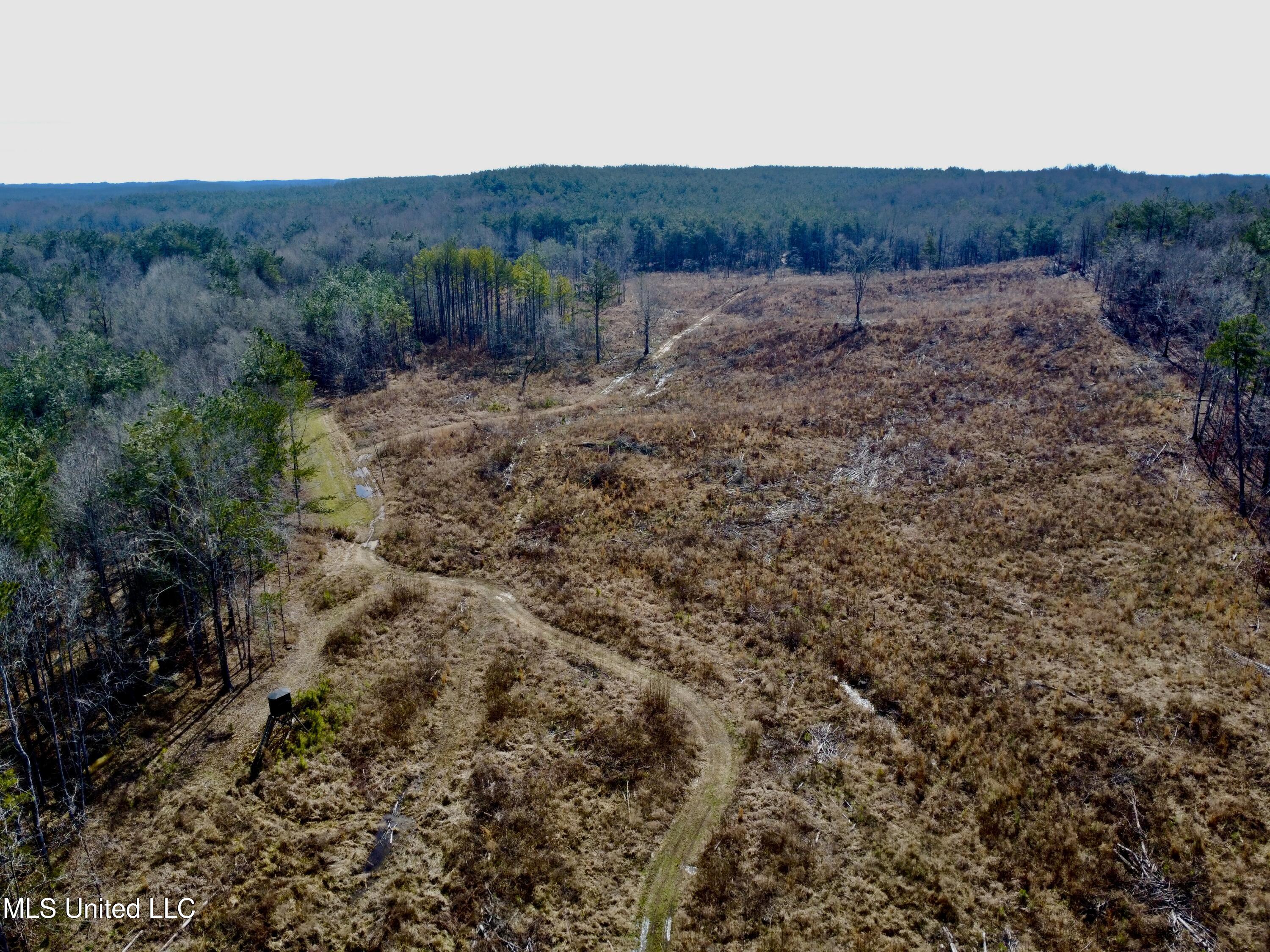 Bagasha Road Vaiden, MS 39176 - Photo 30 of 61 IMG_5067