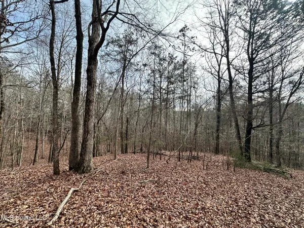 $1,156,000 | Bagasha Road, Vaiden, MS 39176