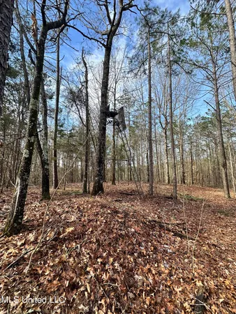 $1,156,000 | Bagasha Road, Vaiden, MS 39176