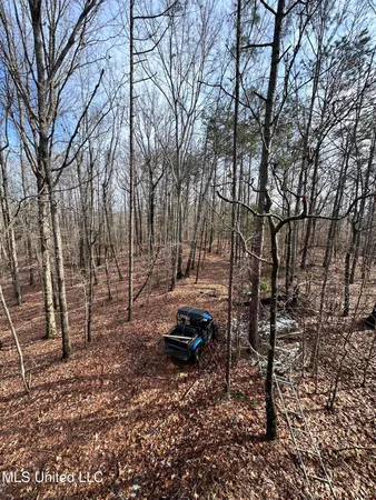 $1,156,000 | Bagasha Road, Vaiden, MS 39176