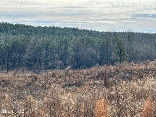 $1,156,000 | Bagasha Road, Vaiden, MS 39176