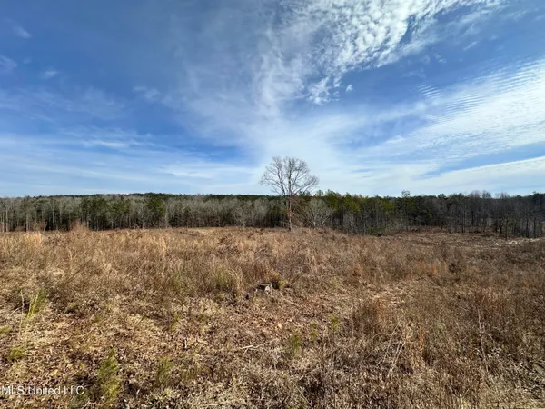 $1,156,000 | Bagasha Road, Vaiden, MS 39176