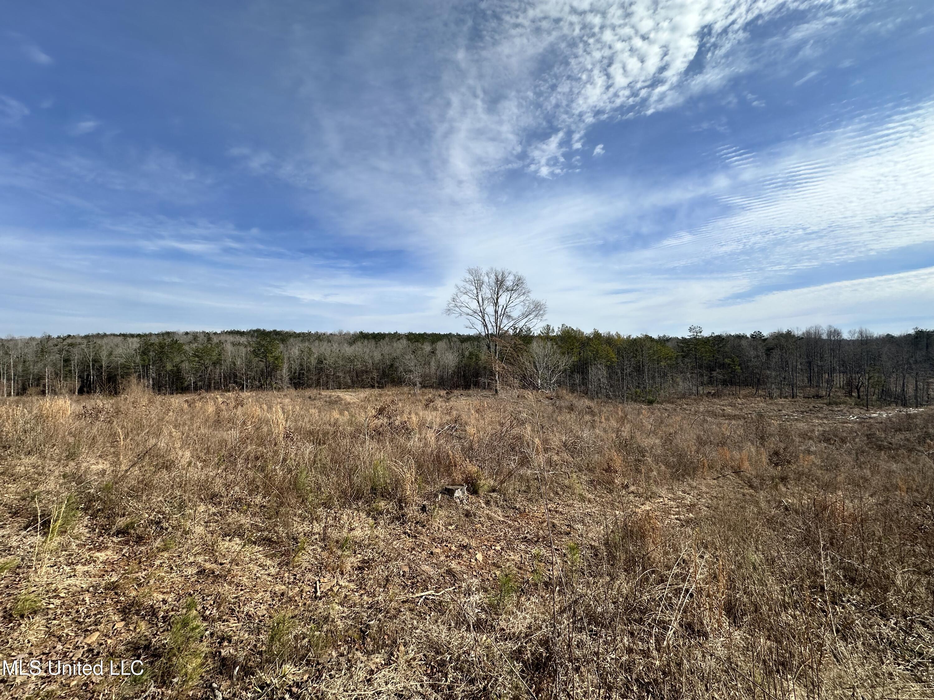 Bagasha Road Vaiden, MS 39176 - Photo 36 of 61 IMG_7075