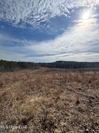 $1,156,000 | Bagasha Road, Vaiden, MS 39176