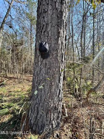 $1,156,000 | Bagasha Road, Vaiden, MS 39176