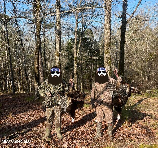 Bagasha Road Vaiden, MS 39176 - Photo 41 of 61 Untitled design (1) copy 2