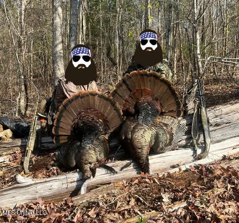 $1,156,000 | Bagasha Road, Vaiden, MS 39176