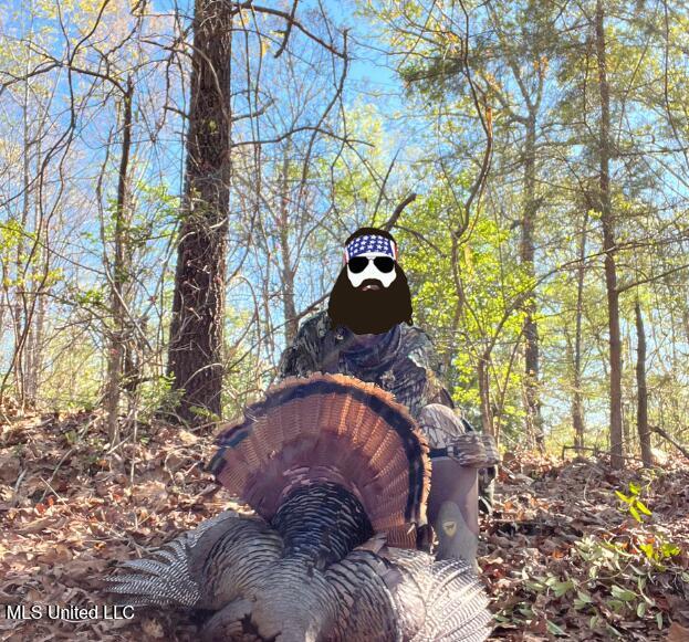 Bagasha Road Vaiden, MS 39176 - Photo 43 of 61 Untitled design (1)