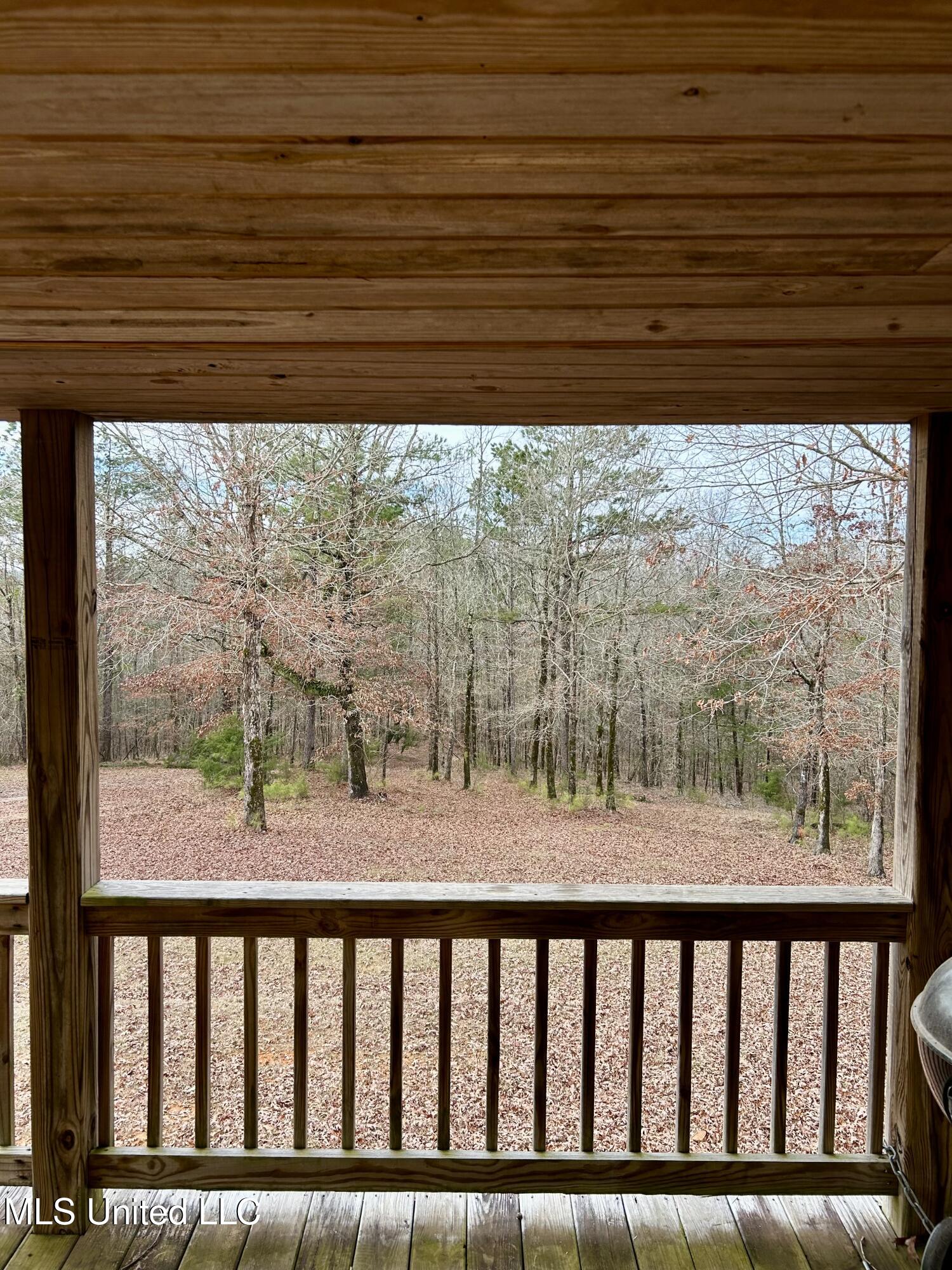 Bagasha Road Vaiden, MS 39176 - Photo 45 of 61 IMG_5028 2