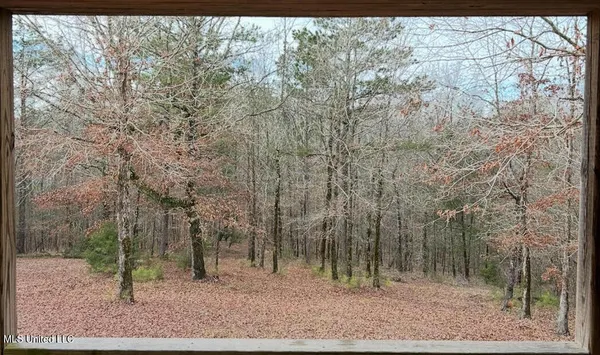 $1,156,000 | Bagasha Road, Vaiden, MS 39176