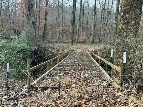 $1,156,000 | Bagasha Road, Vaiden, MS 39176