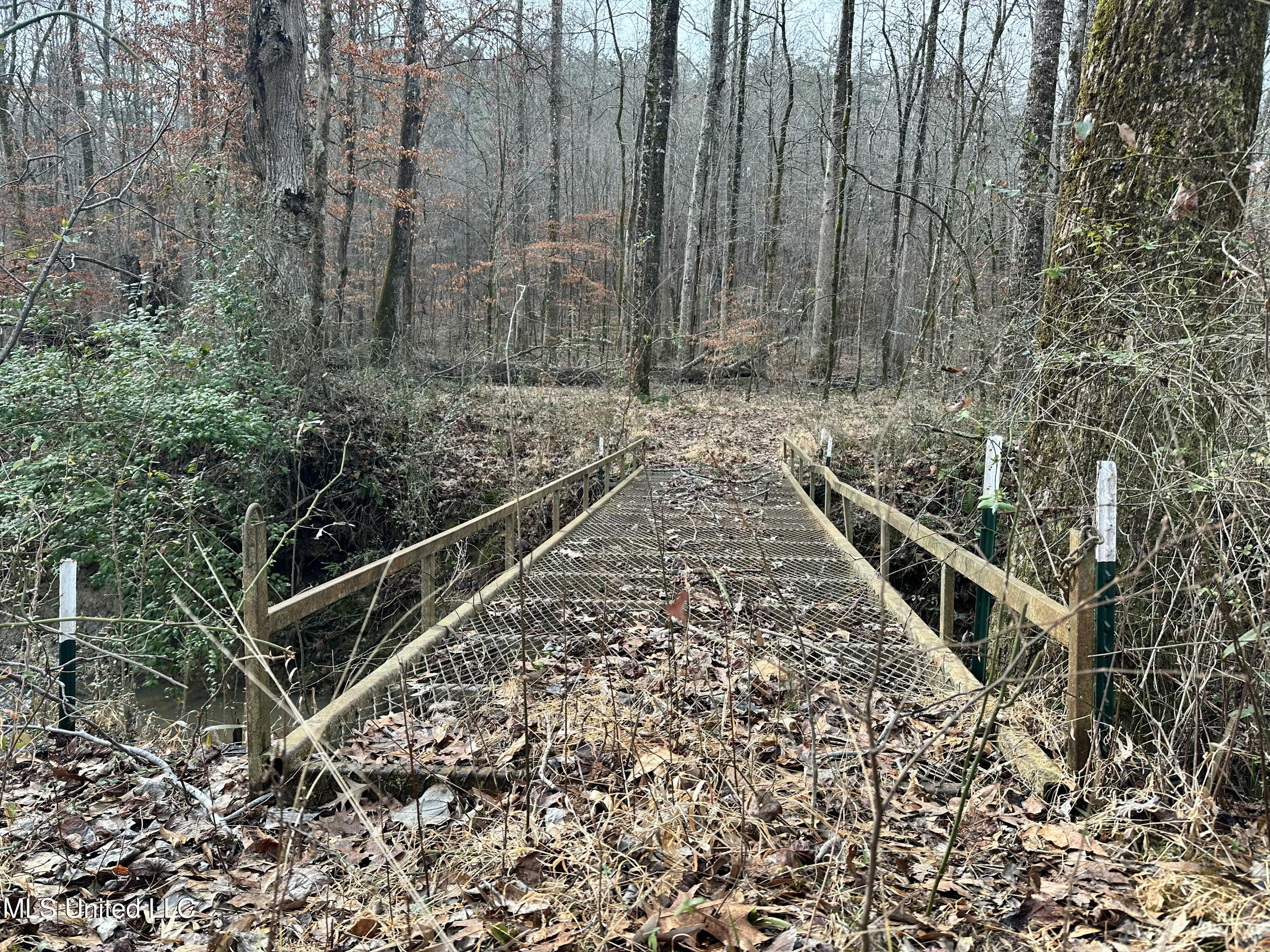 Bagasha Road Vaiden, MS 39176 - Photo 48 of 61 IMG_6048
