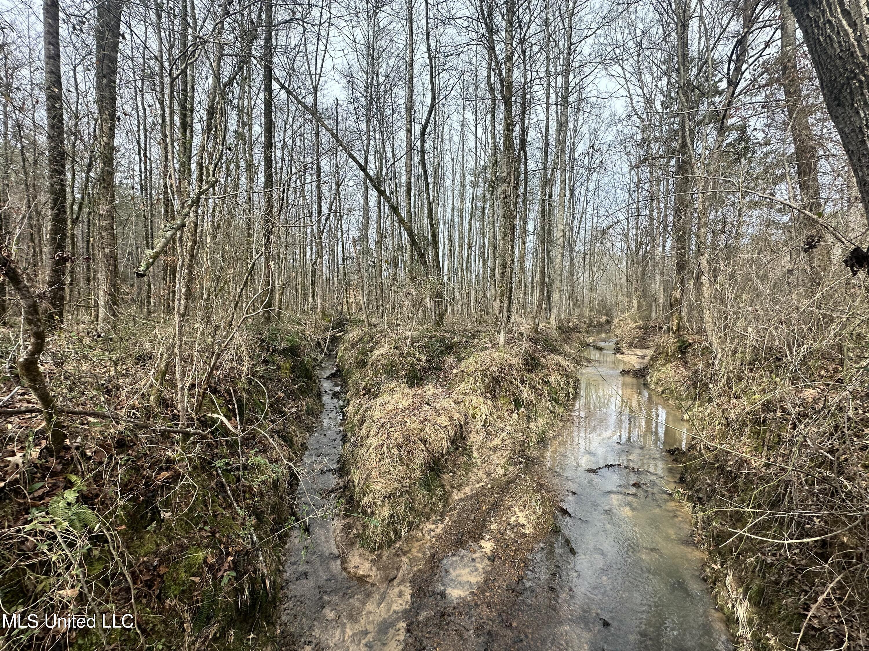 Bagasha Road Vaiden, MS 39176 - Photo 49 of 61 IMG_6049