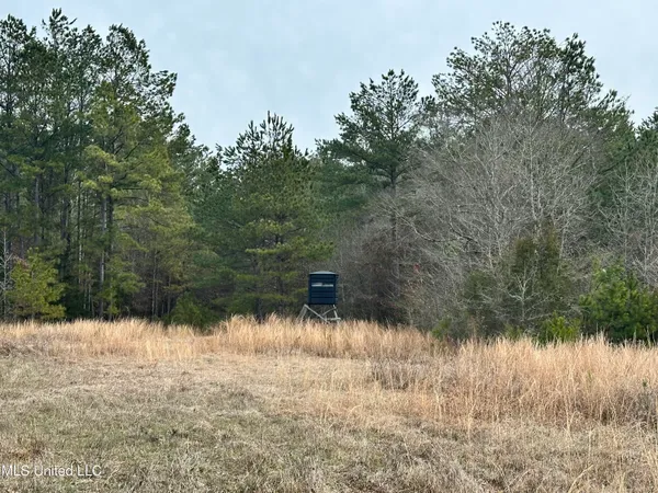 $1,156,000 | Bagasha Road, Vaiden, MS 39176