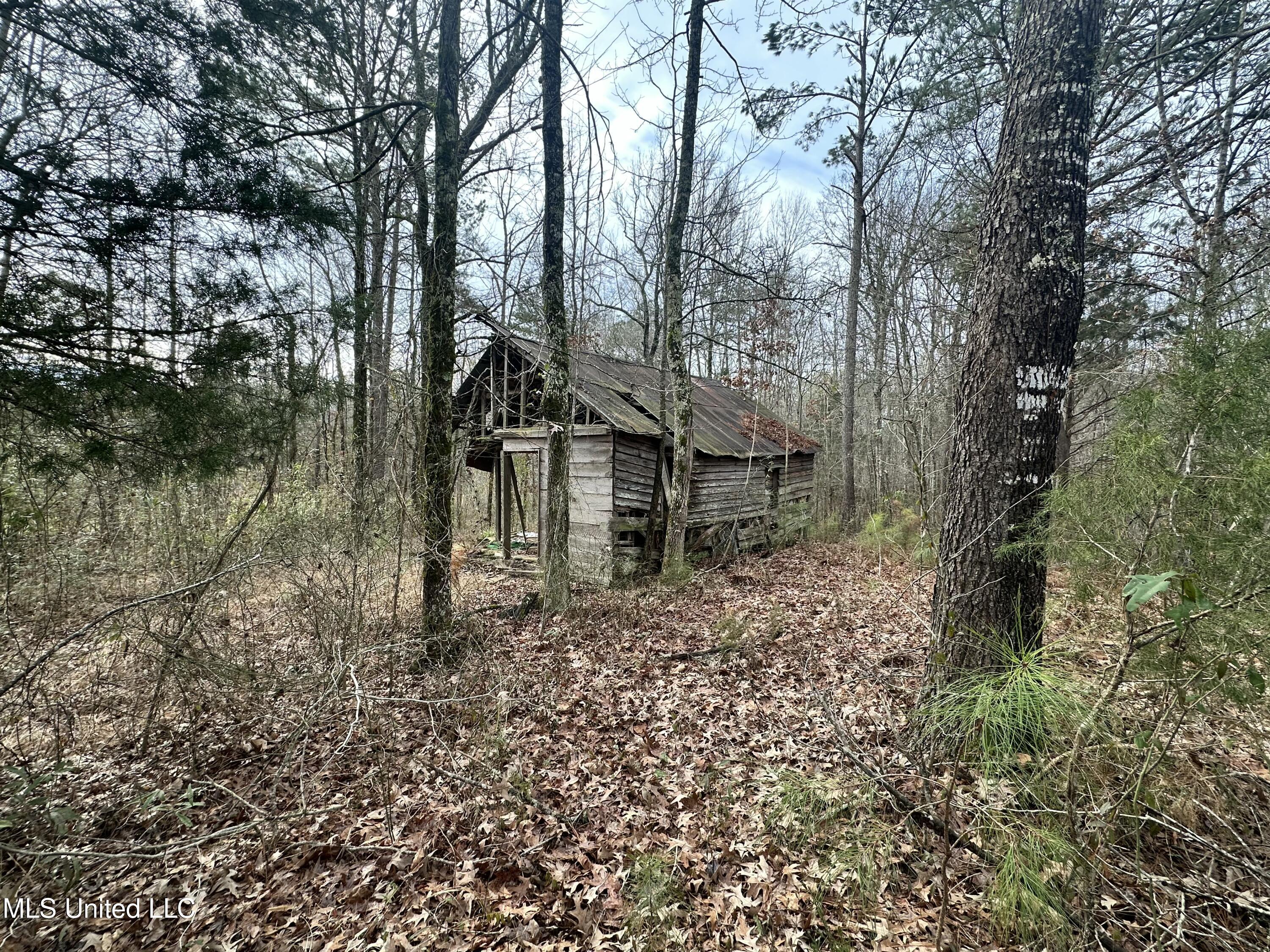 Bagasha Road Vaiden, MS 39176 - Photo 51 of 61 IMG_6052