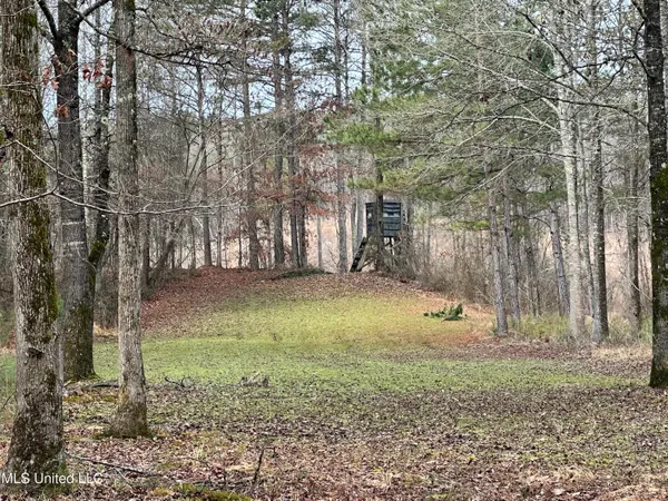 $1,156,000 | Bagasha Road, Vaiden, MS 39176
